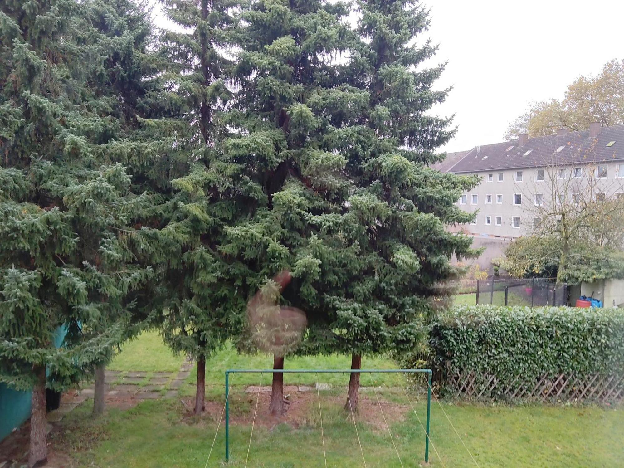 Komfortables Und Ruhiges Apartment Gelsenkirchen Dış mekan fotoğraf